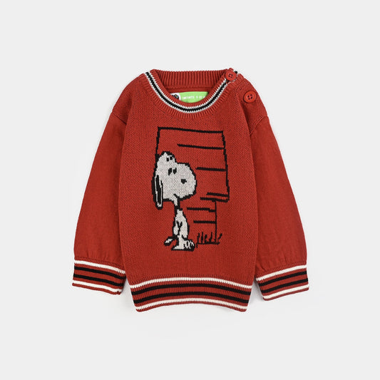 Infant Boys Cotton Acrylic Sweater-Rust